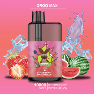 GROO MAX - STRAWBERRY WATERMELON - 10000 PUFFS