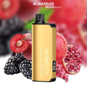 ALIBARBAR INGOT BLACKBERRY CHERRY POMEGRANATE - 9000 PUFFS